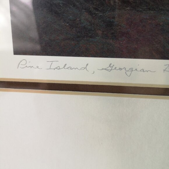 Tom Thompson Pine Island Georgian Bay framed art print 13"x10.5" Gold  Frame - Picture 4 of 8